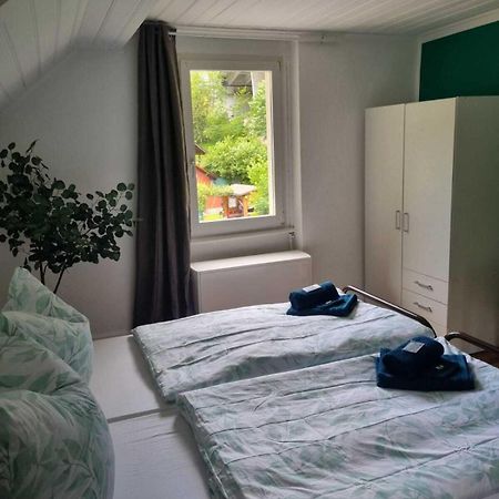 Hotel - Haus Biasca Gurtnellen ภายนอก รูปภาพ